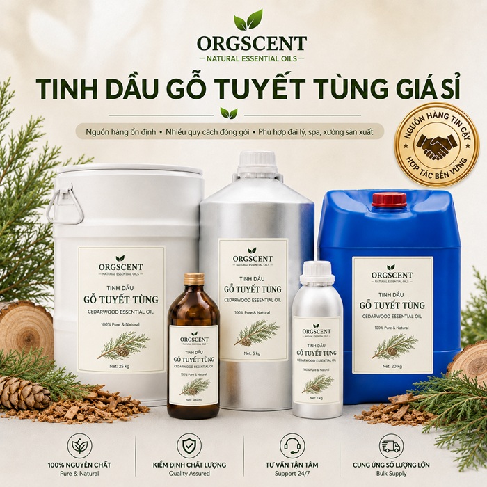Ảnh minh họa: Sản Phẩm Tinh Dầu Gỗ Tuyết Tùng Nguyên Chất Giá Sỉ & Bán Buôn Số Lượng Lớn (Lít, Kg, Can, Phuy)
