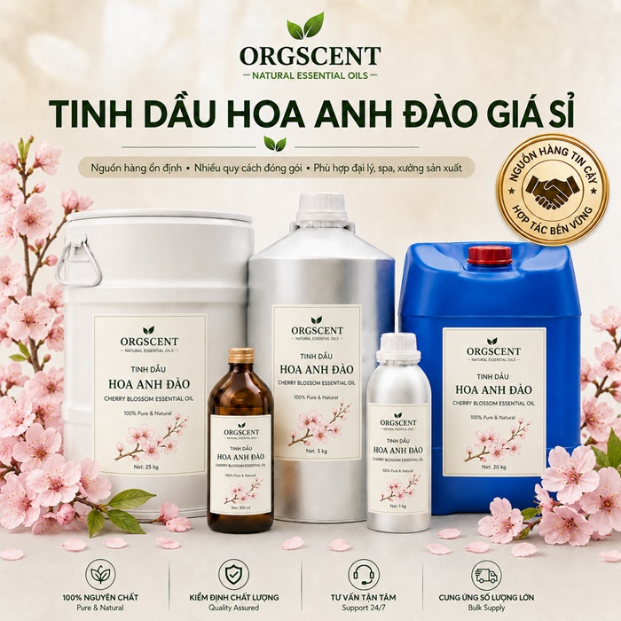 Ảnh minh họa: Sản Phẩm Tinh Dầu Hoa Anh Đào Nguyên Chất Giá Sỉ & Bán Buôn Số Lượng Lớn (Lít, Kg, Can, Phuy)