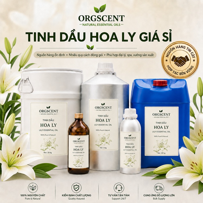 Ảnh minh họa: Sản Phẩm Tinh Dầu Hoa Ly Nguyên Chất Giá Sỉ & Bán Buôn Số Lượng Lớn (Lít, Kg, Can, Phuy)