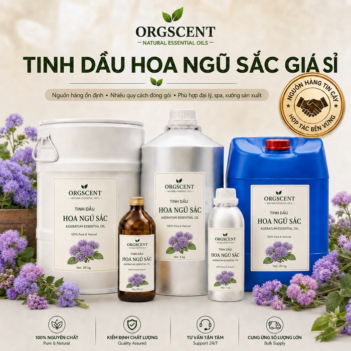Ảnh minh họa: Sản Phẩm Tinh Dầu Hoa Ngũ Sắc Giá Sỉ & Bán Buôn Số Lượng Lớn (Lít, Kg, Can, Phuy)