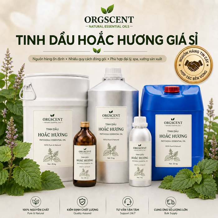 Ảnh minh họa: Sản Phẩm Tinh Dầu Hoắc Hương Nguyên Chất Giá Sỉ & Bán Buôn Số Lượng Lớn (Lít, Kg, Can, Phuy)