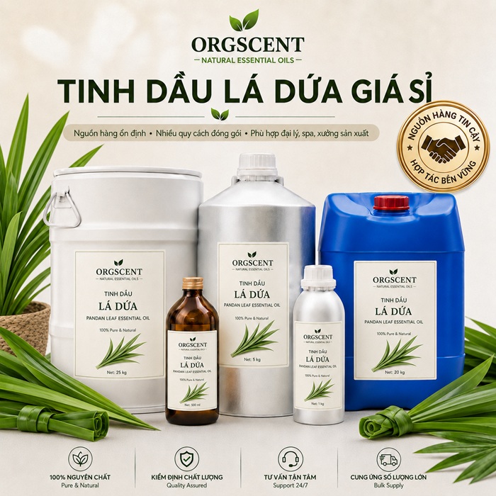 Ảnh minh họa: Sản Phẩm Tinh Dầu Lá Dứa (Lá nếp) Nguyên Chất Giá Sỉ & Bán Buôn Số Lượng Lớn (Lít, Kg, Can, Phuy)