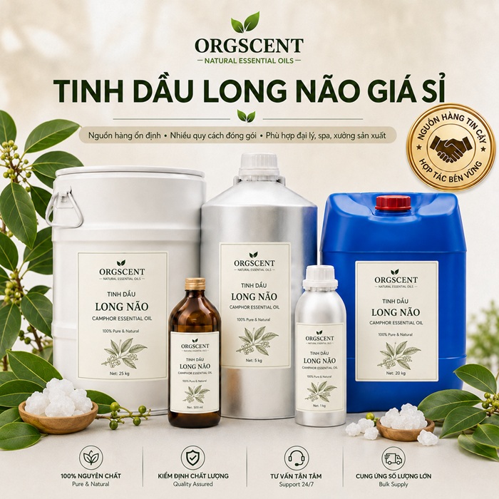 Ảnh minh họa: Sản Phẩm Tinh Dầu Long Não Nguyên Chất Giá Sỉ & Bán Buôn Số Lượng Lớn (Lít, Kg, Can, Phuy)
