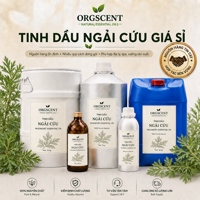 Ảnh minh họa: Sản Phẩm Tinh Dầu Ngải Cứu Giá Sỉ & Bán Buôn Số Lượng Lớn (Lít, Kg, Can, Phuy)