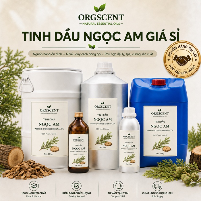 Ảnh minh họa: Sản Phẩm Tinh Dầu Ngọc Am Nguyên Chất Giá Sỉ & Bán Buôn Số Lượng Lớn (Lít, Kg, Can, Phuy)