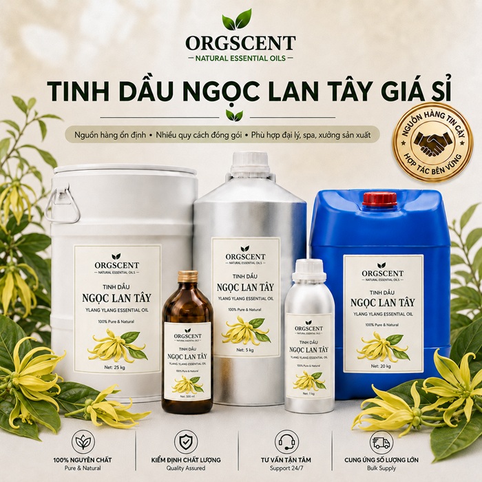 Ảnh minh họa: Sản Phẩm Tinh Dầu Ngọc Lan Tây Nguyên Chất Giá Sỉ & Bán Buôn Số Lượng Lớn (Lít, Kg, Can, Phuy)