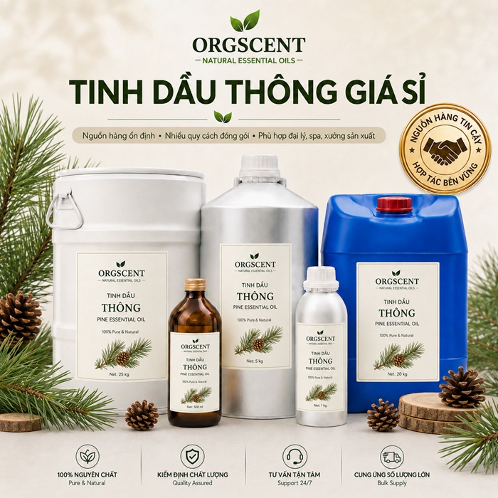 Ảnh minh họa: Sản Phẩm Tinh Dầu Thông Nguyên Chất Giá Sỉ & Bán Buôn Số Lượng Lớn (Lít, Kg, Can, Phuy)