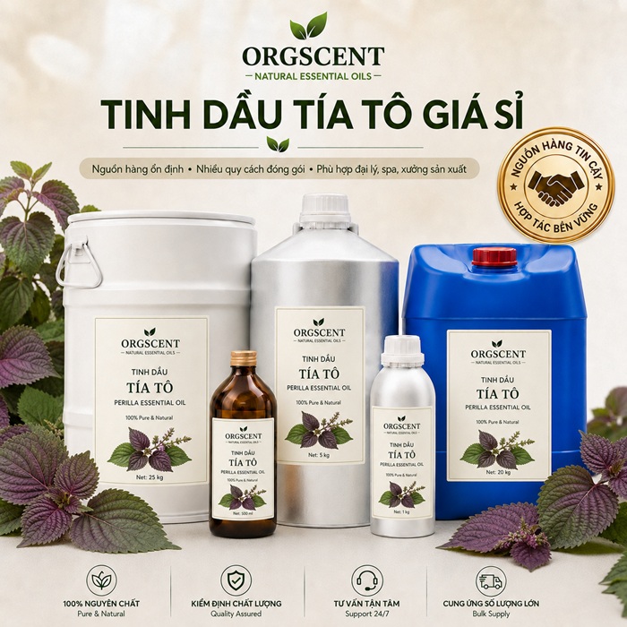 Ảnh minh họa: Sản Phẩm Tinh Dầu Tía Tô Nguyên Chất Giá Sỉ & Bán Buôn Số Lượng Lớn (Lít, Kg, Can, Phuy)