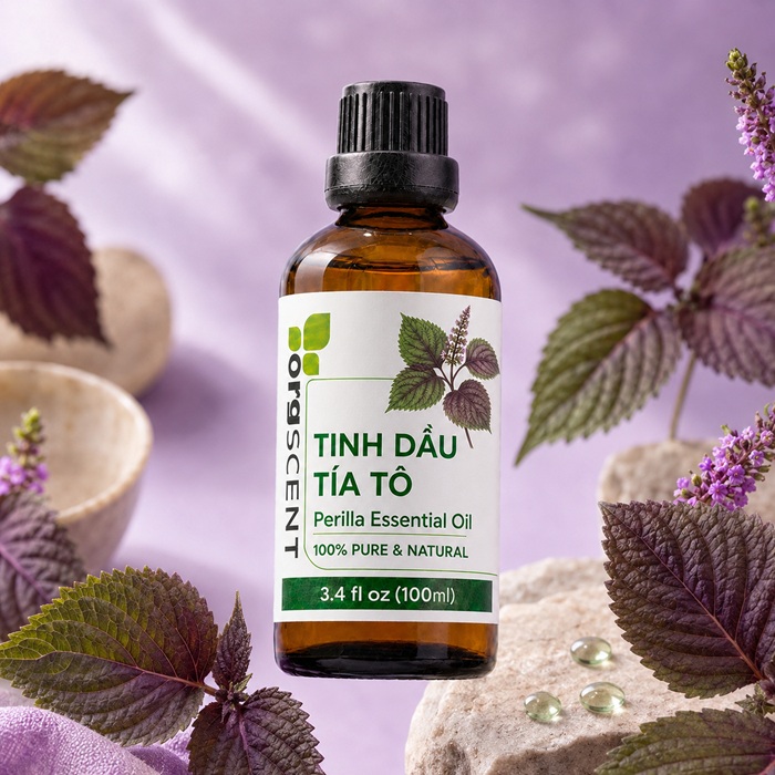 Ảnh minh họa: Sản phẩm tinh dầu tía tô 100ml của Orgscent