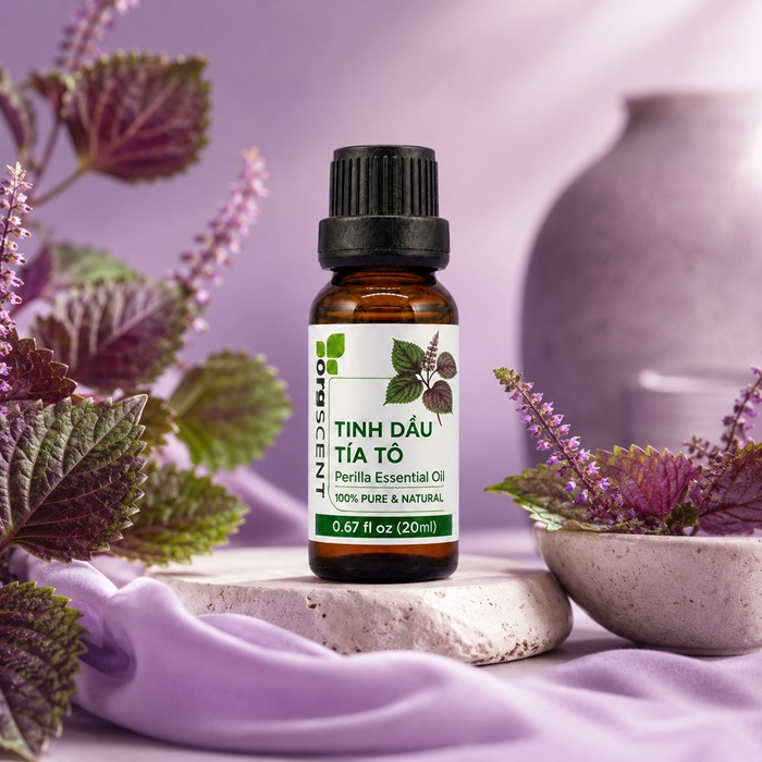 Ảnh minh họa: Sản phẩm tinh dầu tía tô 20ml của Orgscent