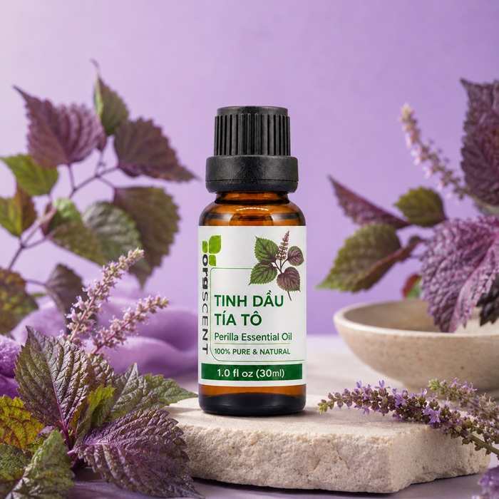 Ảnh minh họa: Sản phẩm tinh dầu tía tô 30ml của Orgscent