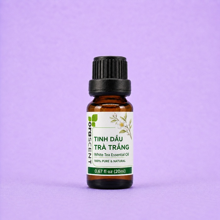Tinh dầu trà trắng 20ml 4 Tinh dầu trà trắng orgscent 20ml chính hãng