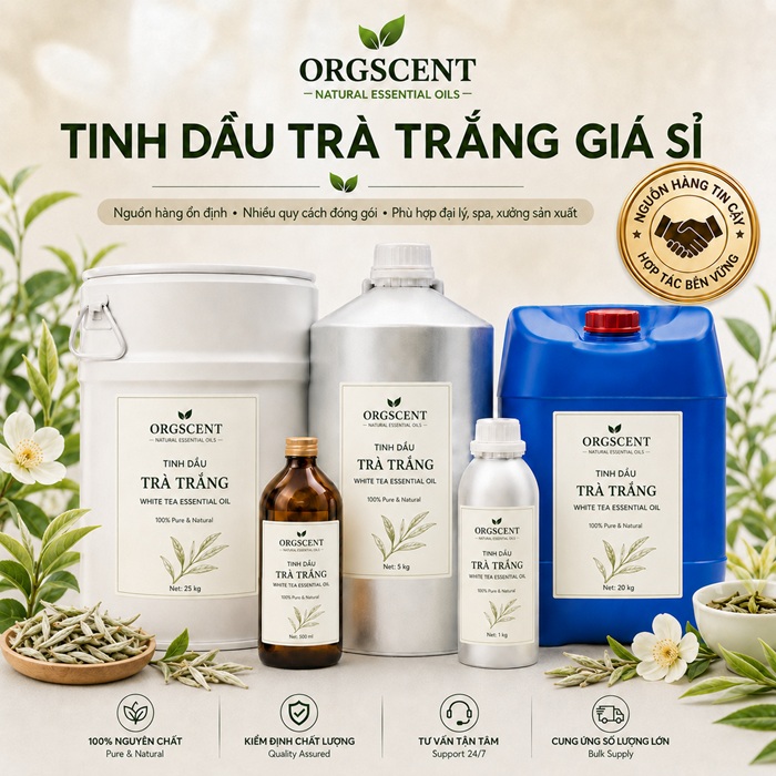 Ảnh minh họa: Sản Phẩm Tinh Dầu Trà Trắng Nguyên Chất Giá Sỉ & Bán Buôn Số Lượng Lớn (Lít, Kg, Can, Phuy)