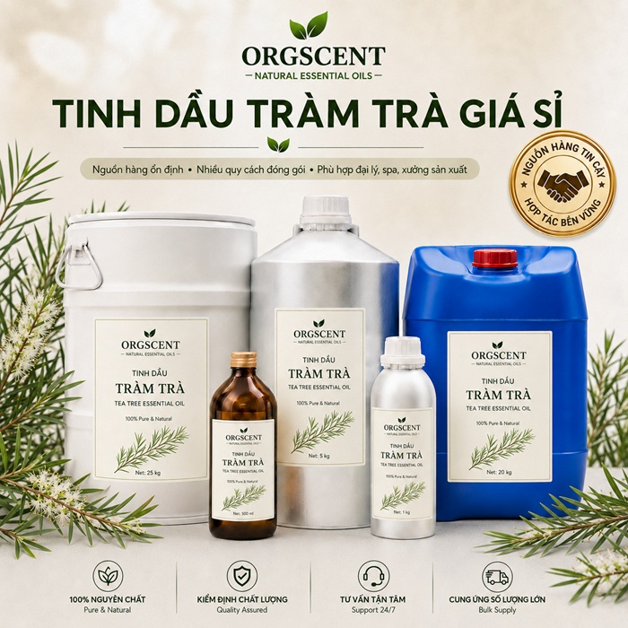 Ảnh minh họa: Sản Phẩm Tinh Dầu Tràm Trà Giá Sỉ & Bán Buôn Số Lượng Lớn (Lít, Kg, Can, Phuy)