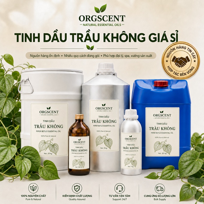 Ảnh minh họa: Sản Phẩm Tinh Dầu Trầu Không Giá Sỉ & Bán Buôn Số Lượng Lớn (Lít, Kg, Can, Phuy)