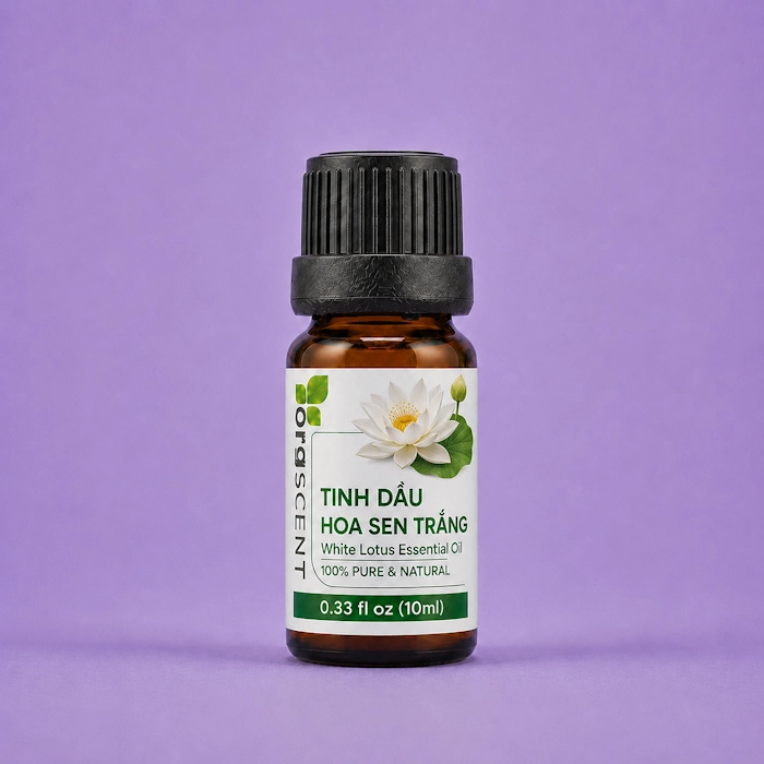 Tinh dầu hoa sen trắng 10ml 4 Tinh dầu hoa sen trắng orgscent 10ml chính hãng
