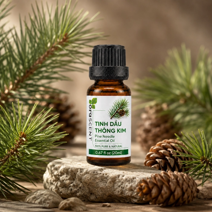 Ảnh minh họa: Sản phẩm Tinh dầu thông lá kim 20ml của Orgscent