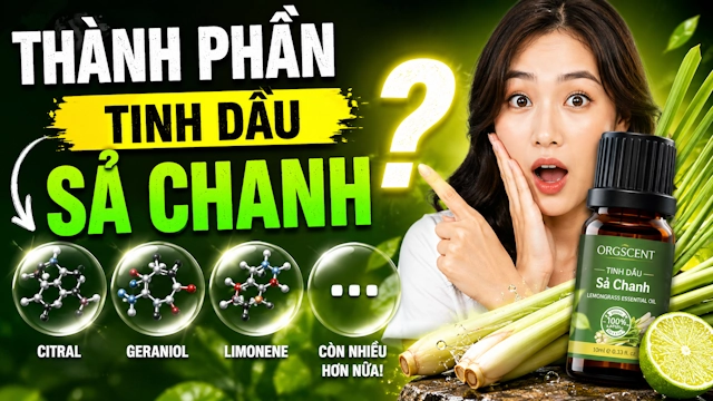 Thành phần hóa học của tinh dầu sả (Cymbopogon citratus): Phân tích chi tiết từ khoa học đến ứng dụng thực tiễn